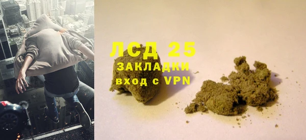 ГАЛЛЮЦИНОГЕННЫЕ ГРИБЫ Белоозёрский