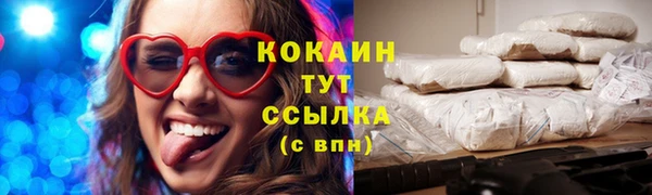 шишки Кодинск