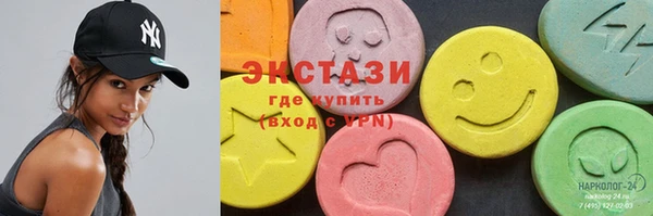 твердый Козельск