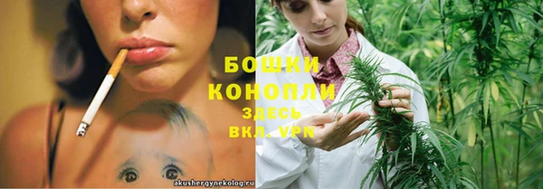ГАЛЛЮЦИНОГЕННЫЕ ГРИБЫ Белоозёрский