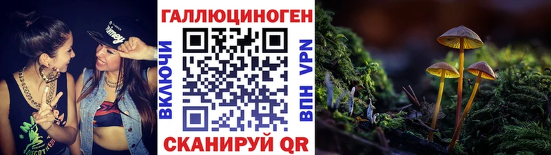 Псилоцибиновые грибы GOLDEN TEACHER  Весьегонск 